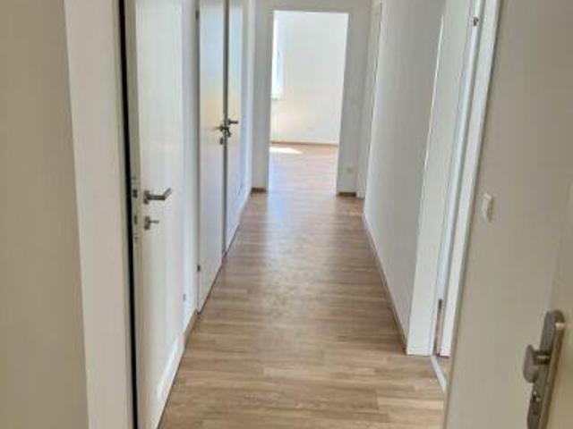 Wohnung mieten in Wiener Neustadt, Niederösterreich