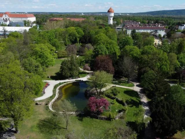 Wohnung mieten in Wiener Neustadt, Niederösterreich