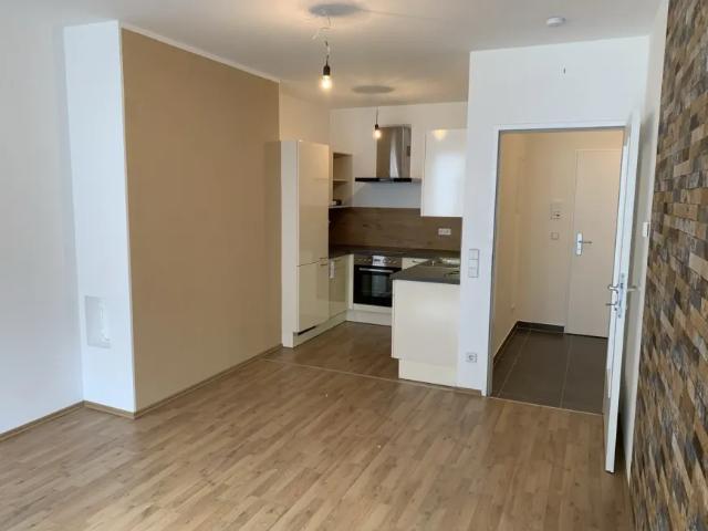 Wohnung mieten in Wiener Neustadt, Niederösterreich