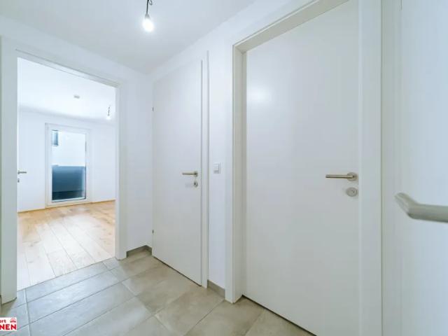 Wohnung mieten in Wiener Neustadt, Niederösterreich