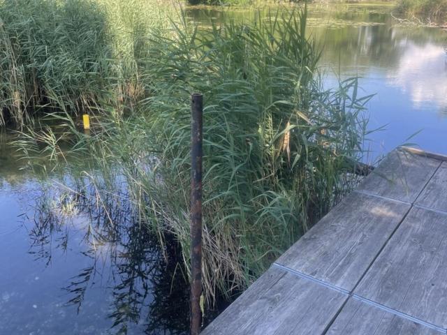 Grundstück kaufen in Seestadt, Wien