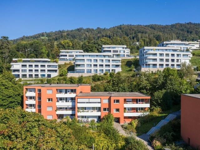 Wohnung mieten in Obere Roostmatt, Zug