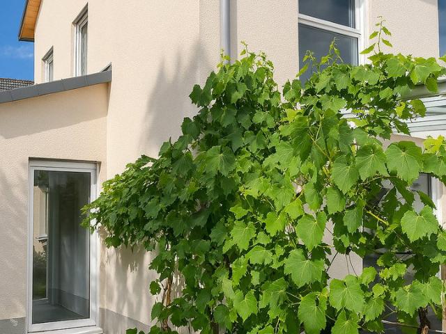 Doppelhaushälfte kaufen in Aubing-Lochhausen-Langwied, München