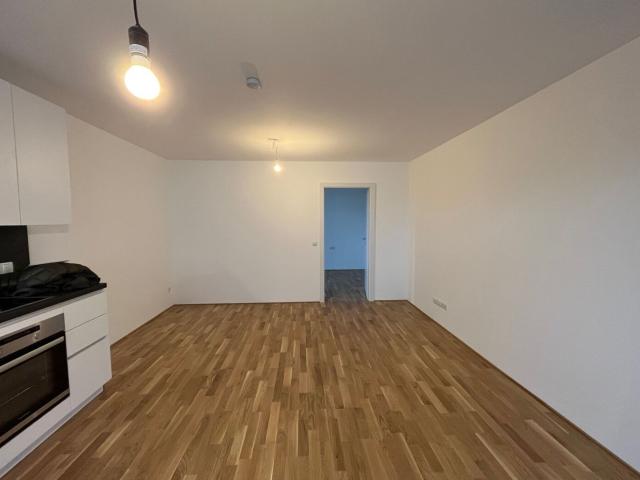 Wohnung mieten in Höchst, Vorarlberg