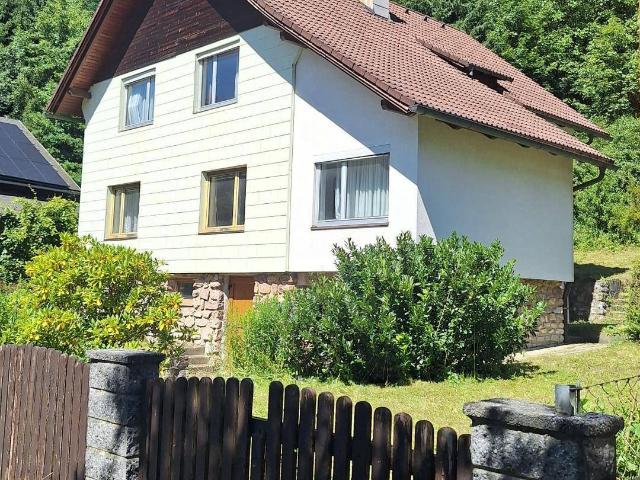 Haus kaufen in Eisenerz, Bezirk Leoben