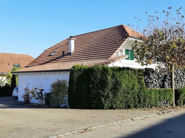 Einfamilienhaus kaufen in Villmergen, Aargau
