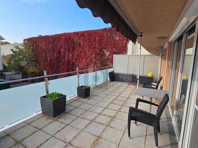 Apartment mieten in Wiener Neudorf, Bezirk Mödling
