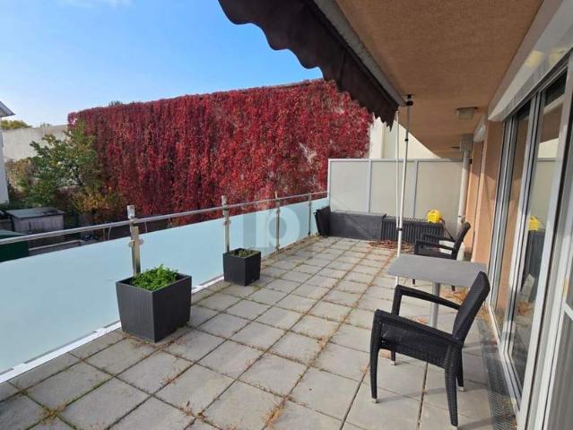Wohnung mieten in Mödling, Bezirk Mödling