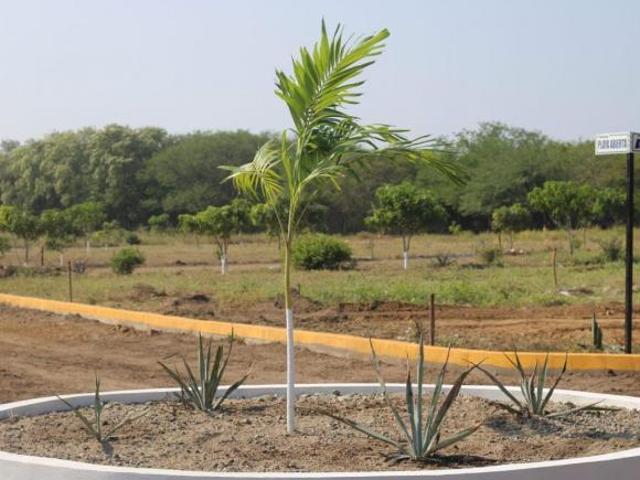 ZULL Residencial | Desarrollo en la costa de Oaxaca, cerca de Puerto Escondido