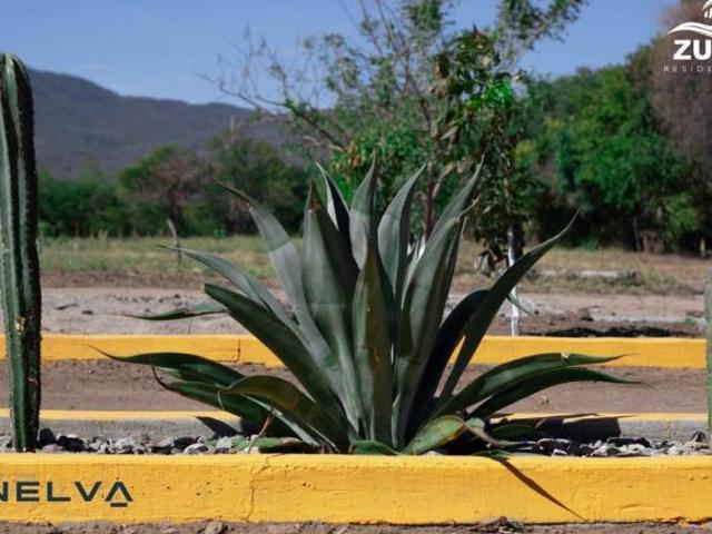 ZULL Residencial | Desarrollo en la costa de Oaxaca, cerca de Puerto Escondido