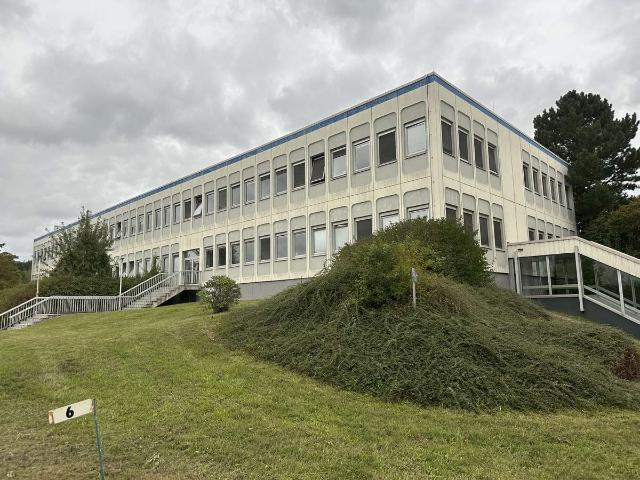 Industrie kaufen in Zwickau
