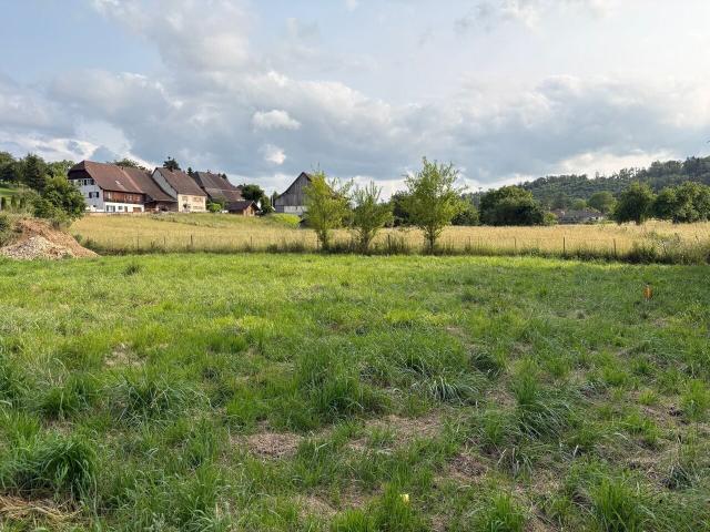 Immobilie kaufen in Coeuve, Jura