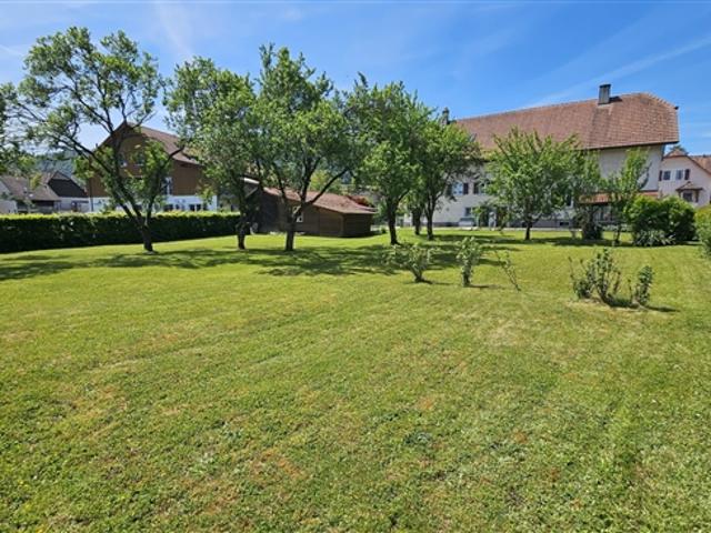 Einfamilienhaus kaufen in Haute-Sorne, Jura