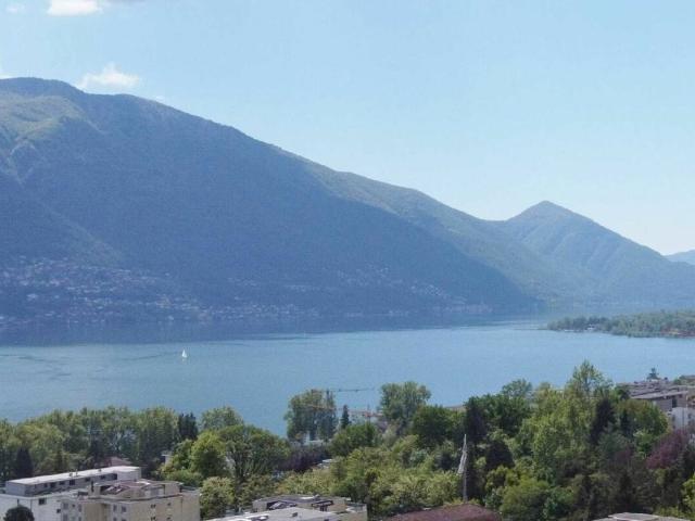 Wohnung kaufen in Minusio, Tessin