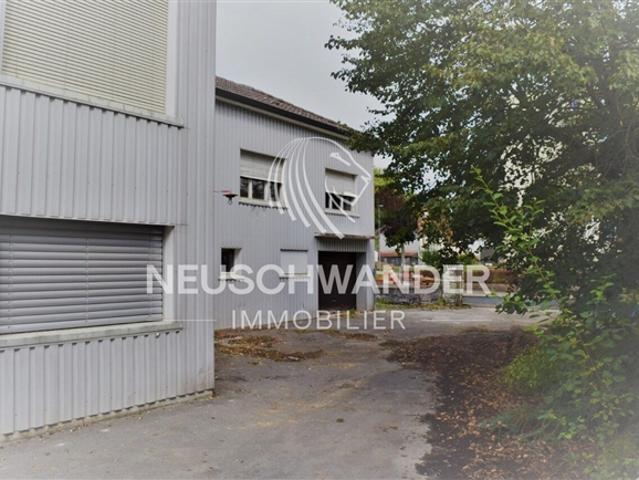 Einfamilienhaus kaufen in Porrentruy, Jura