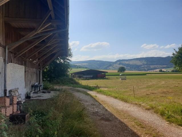 Wohnung kaufen in Haute-Sorne, Jura