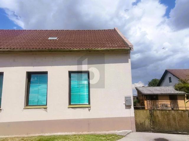 Haus kaufen in Eggendorf, Niederösterreich
