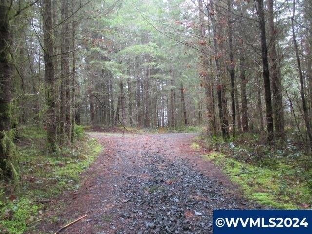 Land for sale in Scio, Linn County