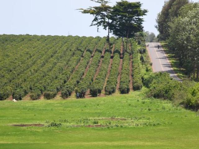 Land for sale in Juja