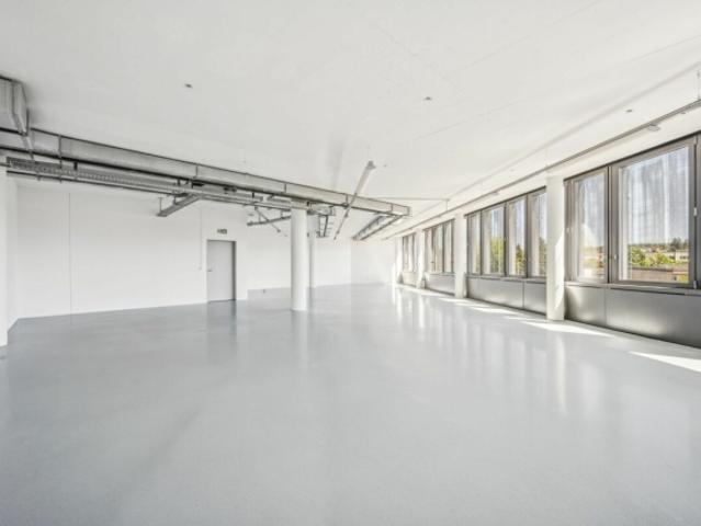 Büro mieten in Wangen (ZH), Zürich