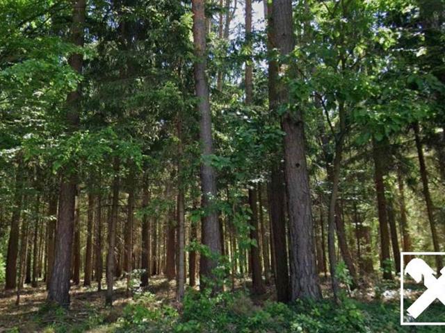 Grundstück kaufen in Litzelsdorf, Bezirk Oberwart