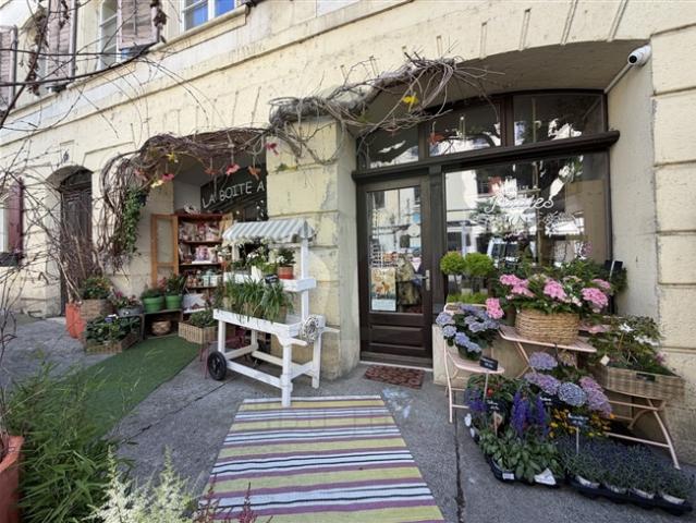 Wohnung kaufen in Porrentruy, Jura