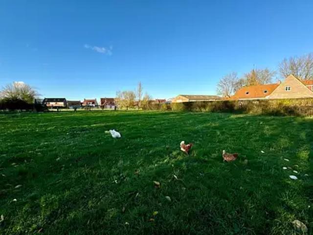 Terrain vente à Dunkerque, Zuytpeene