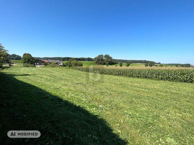 Grundstück kaufen in Haselbach, Braunau am Inn