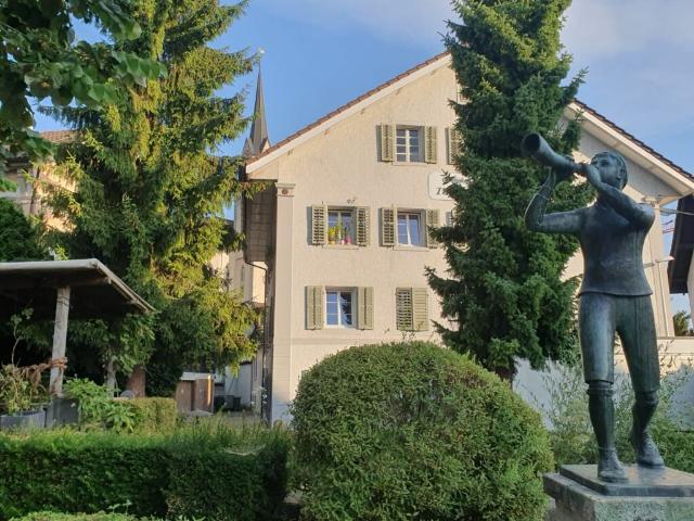 Mehrfamilienhaus kaufen in Villmergen, Aargau