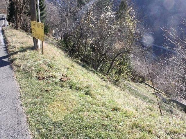 Immobilie kaufen in Faido, Tessin