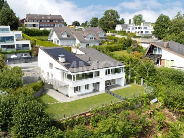 Immobilie kaufen in Langnau am Albis, Zürich