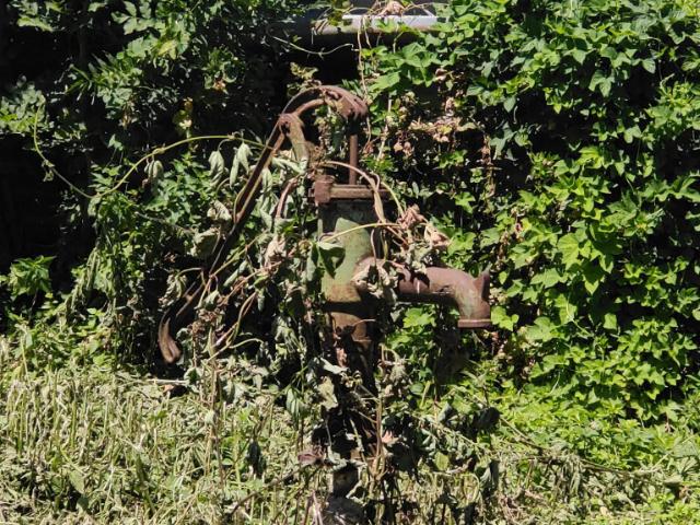 Doppelhaushälfte kaufen in Moosbrunn, Niederösterreich