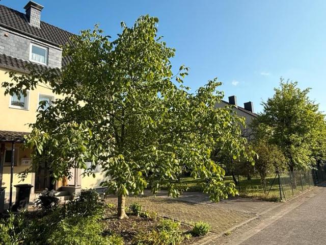 Haus kaufen in Heepen, Bielefeld