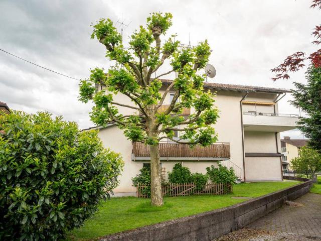 Haus kaufen in Lustenau, Vorarlberg
