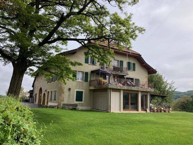 Immobilie kaufen in La Chaux (Cossonay), Waadt