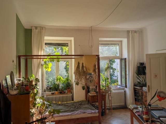 Zimmer mieten in Seestadt, Wien