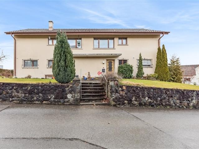 Einfamilienhaus kaufen in Menziken, Aargau