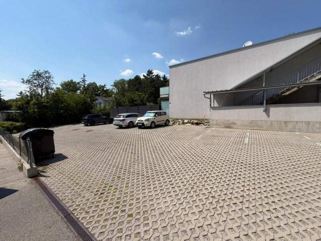 Immobilie kaufen in Mödling, Niederösterreich