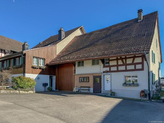 Einfamilienhaus kaufen in Bachs, Zürich