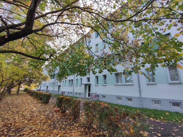 Apartment mieten in Grimma