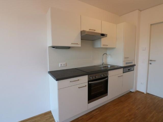 Apartment mieten in Liebenau, Gersdorf-Feistritz