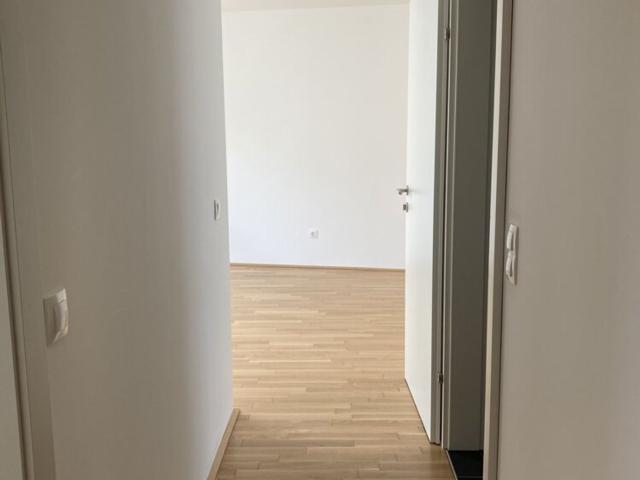 Wohnung kaufen in Seestadt, Wien