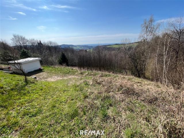 Grundstück kaufen in Hochneukirchen-Gschaidt, Niederösterreich