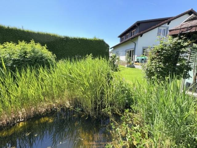 Mehrfamilienhaus kaufen in Steyr, Oberösterreich