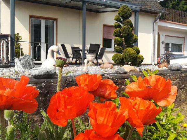 Haus kaufen in Bullay, Rheinland-Pfalz