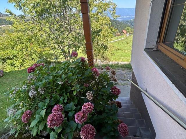 Haus kaufen in Griffen, Kärnten