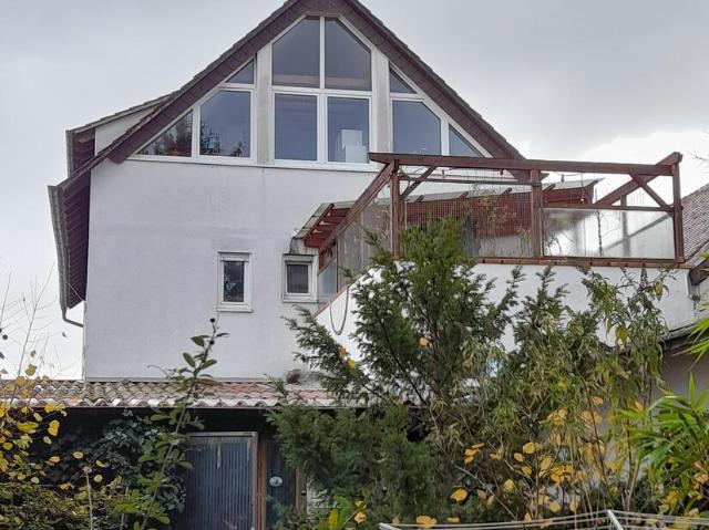 Haus kaufen in Haßloch, Rheinland-Pfalz