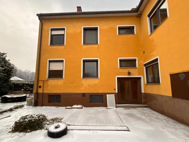 Haus kaufen in Eggendorf, Niederösterreich