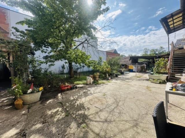 Mehrfamilienhaus kaufen in Altenwörth, Kirchberg am Wagram
