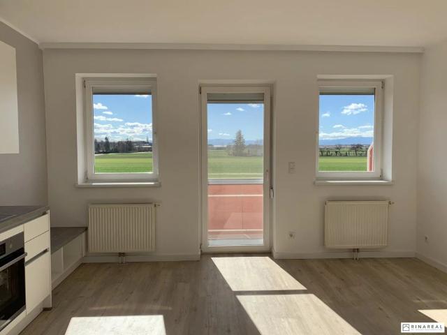 Apartment mieten in Eggendorf, Niederösterreich